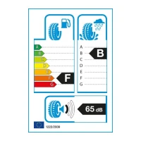 195/45R15 opona GOODYEAR EAGLE F1 (GS-D3) FP FI 78V